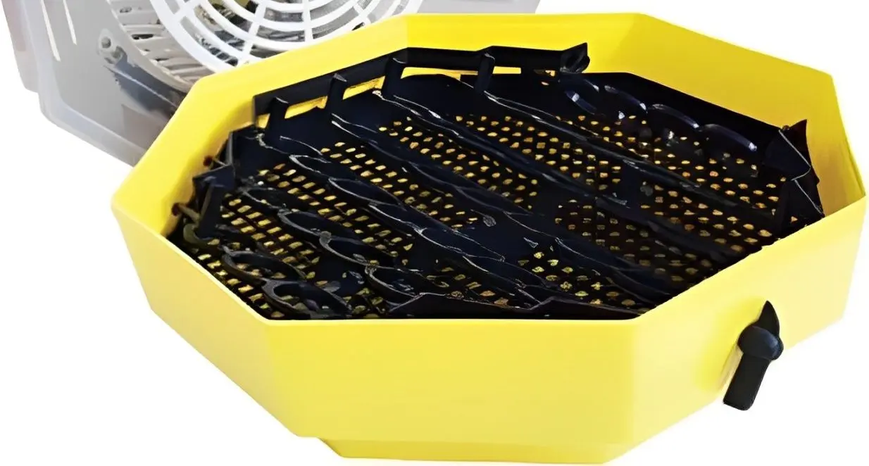 Incubator Cleo 2170525