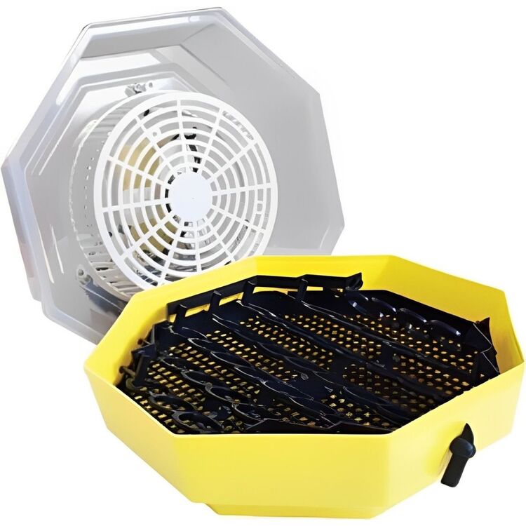 Incubator Cleo 2170525