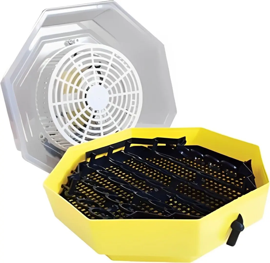 Incubator Cleo 2170525