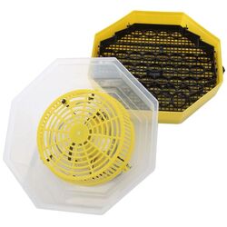 Incubator Cleo 5 DT Thumb