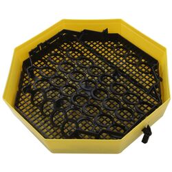 Incubator Cleo 5 DT Thumb