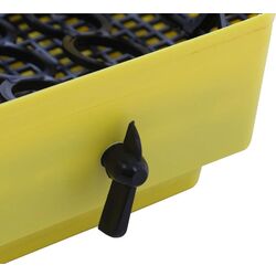 Incubator Cleo 5 DT Thumb