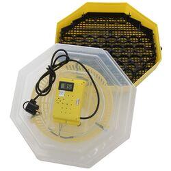 Incubator Cleo 5 DT Thumb