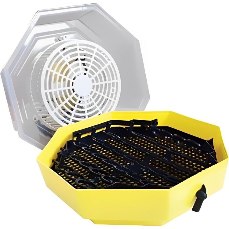 Incubator Cleo 5 DT