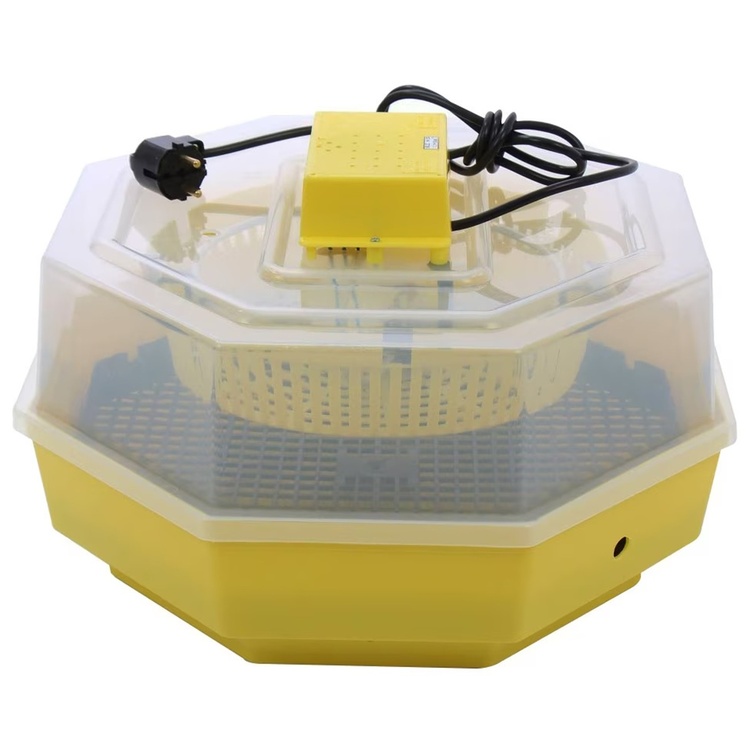 Incubator Cleo 5/INC1