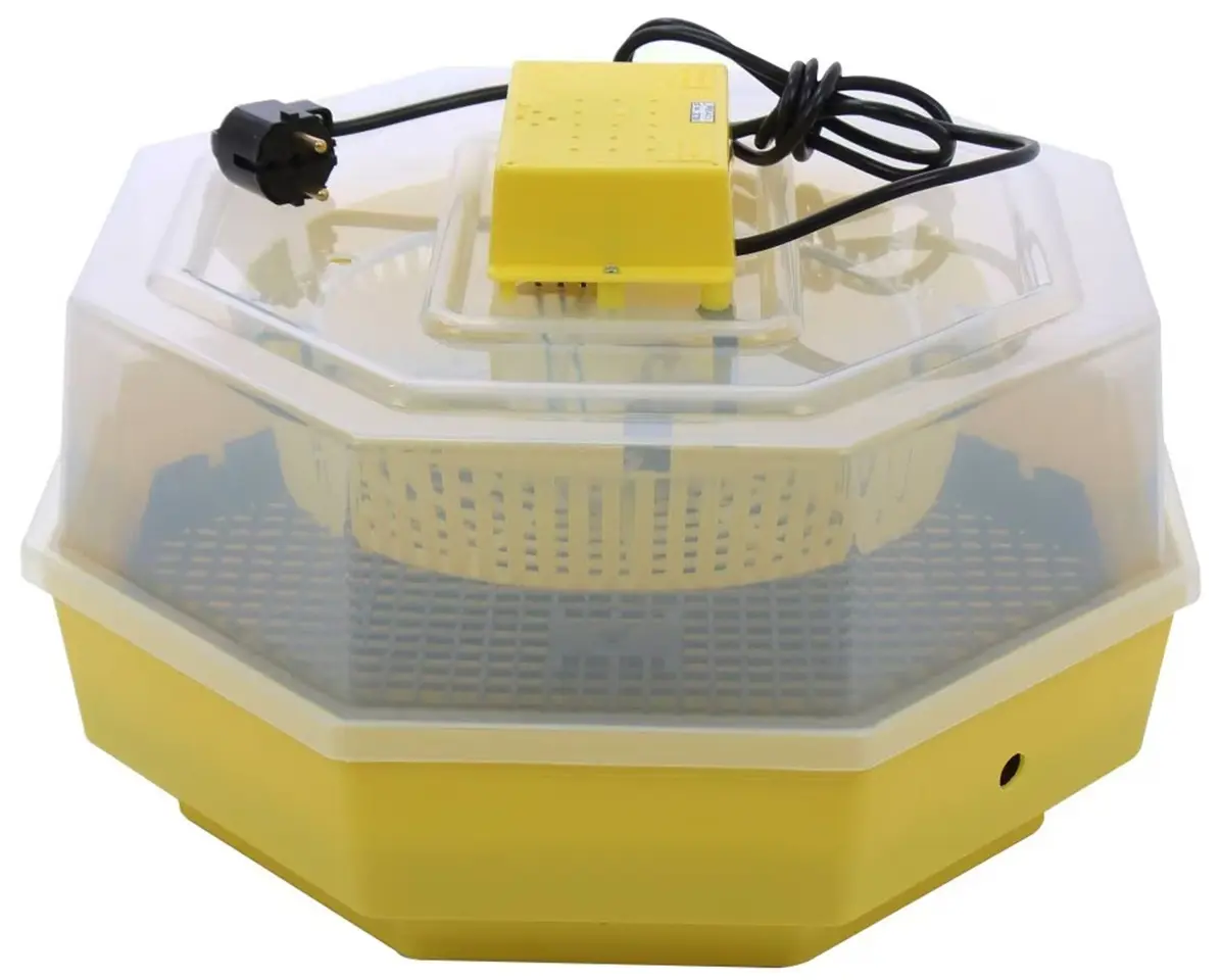 Инкубатор Cleo 5/INC1