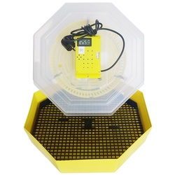 Инкубатор Cleo 5T/INC4 Thumb