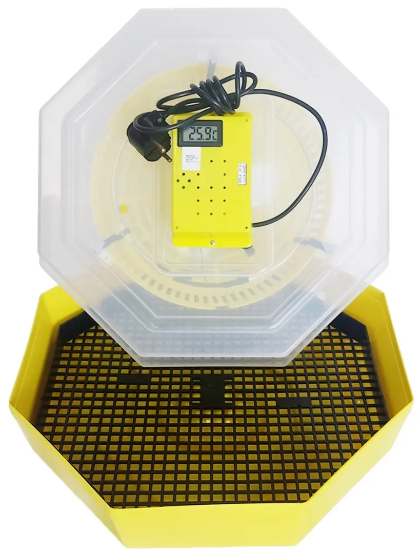 Инкубатор Cleo 5T/INC4