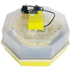 Инкубатор Cleo 5T/INC4 Thumb