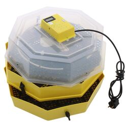 Инкубатор Cleo 5x2DT Thumb