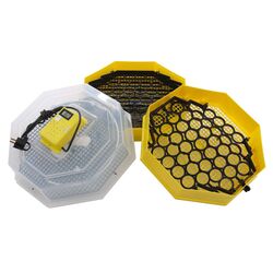 Инкубатор Cleo 5x2DT Thumb