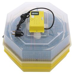 Инкубатор Cleo 5x2DT Thumb