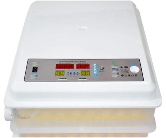 Incubator Demetra DM-120