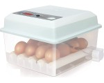 Incubator Demetra DM-16