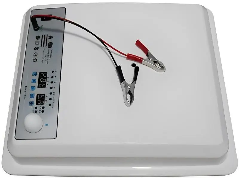 Incubator Demetra DM-176