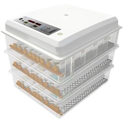 Incubator Demetra DM-176