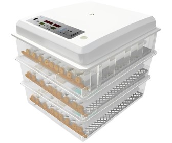 Incubator Demetra DM-176