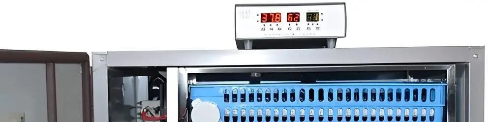 Incubator Demetra DM-192