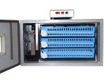 Incubator Demetra DM-192