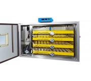 Incubator Demetra DM-240