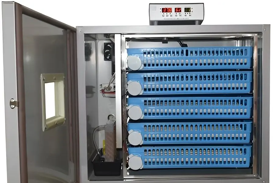 Incubator Demetra DM-320