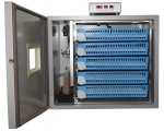 Incubator Demetra DM-320