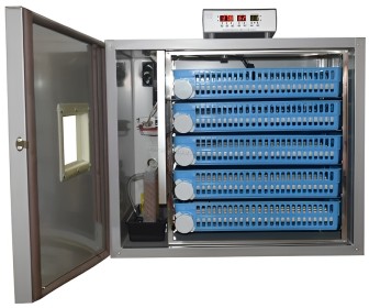 Incubator Demetra DM-320