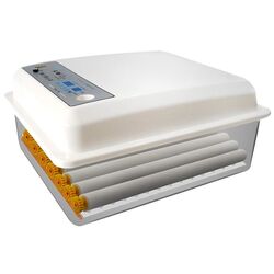 Incubator Demetra DM-36