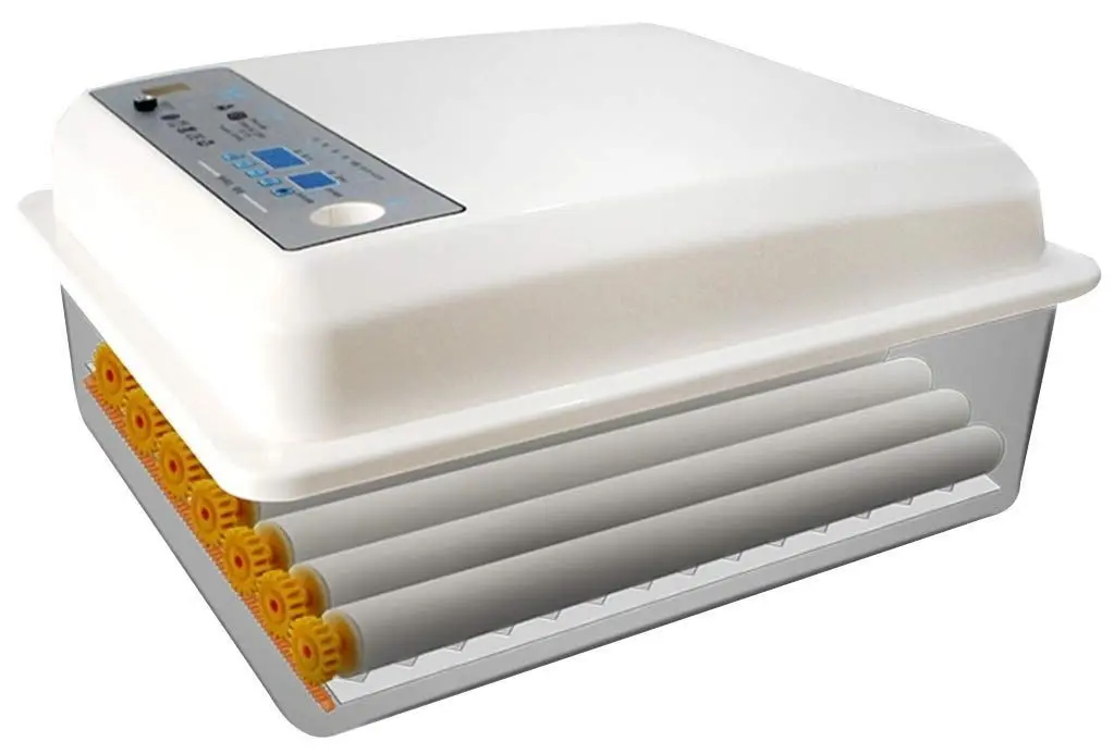 Incubator Demetra DM-36