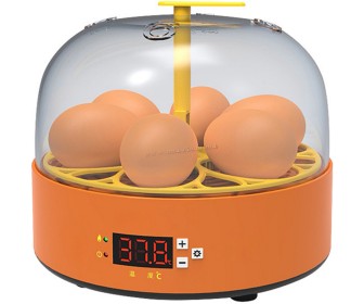 Incubator Demetra DM-6