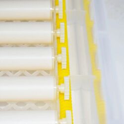 Incubator Demetra DM-64 Thumb