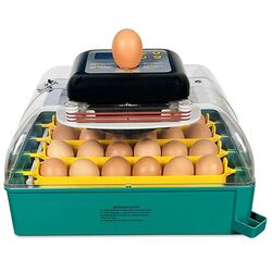 Incubator Demetra EU Profi C-24 Thumb