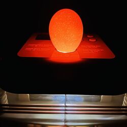 Incubator Demetra EU Profi C-24 Thumb