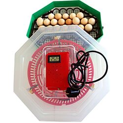 Incubator Ertec ERT-MN 9054