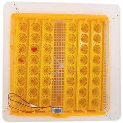 Incubator Micul Fermier GF-1257 Thumb