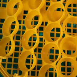 Incubator Puisor X2 IO-104 51 (Blue/Yellow) Thumb