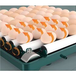 Incubator Tehno Ms MD-70 (White) Thumb