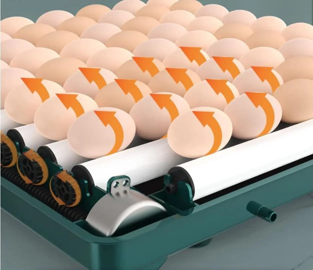 Incubator Tehno Ms MD-70 (White)