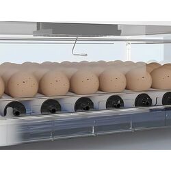 Incubator Tehno MS MS-70 Thumb