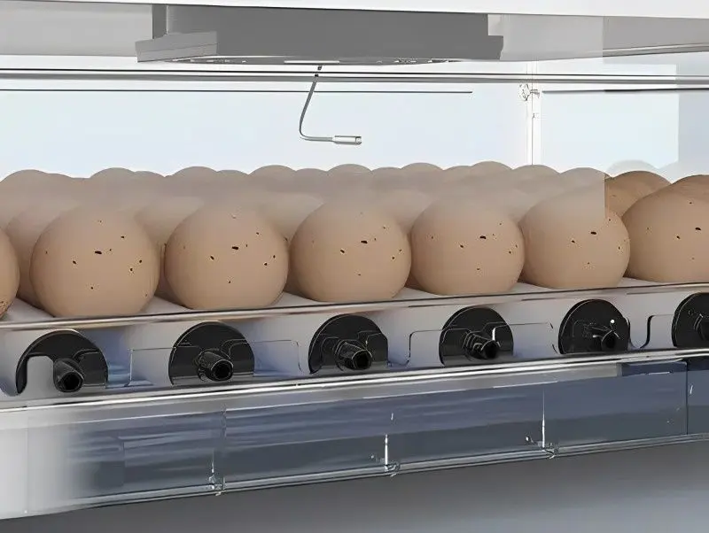 Incubator Tehno MS MS-70