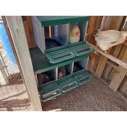 Cuibar pentru gaini cu colector de oua Demetra DH-02 (Green) Thumb