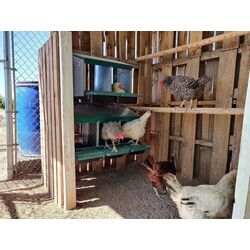 Cuibar pentru gaini cu colector de oua Demetra DH-02 (Green) Thumb