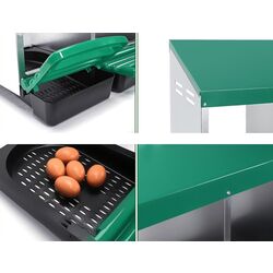 Cuibar pentru gaini cu colector de oua Demetra DH-03 (Green) Thumb
