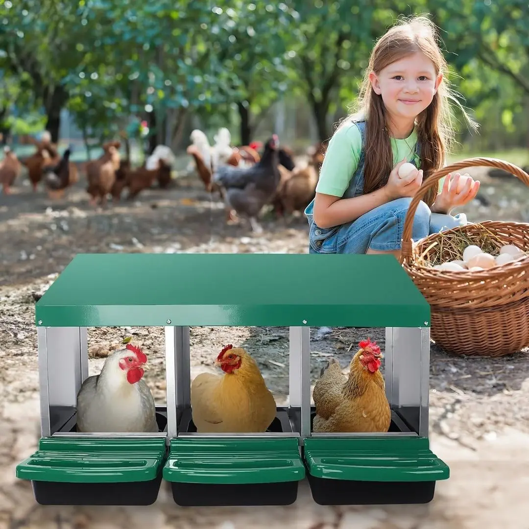 Гнездо с яйцесборником для кур Demetra DH-04 (Green) - 5