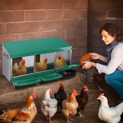 Гнездо с яйцесборником для кур Demetra DH-04 (Green) Thumb