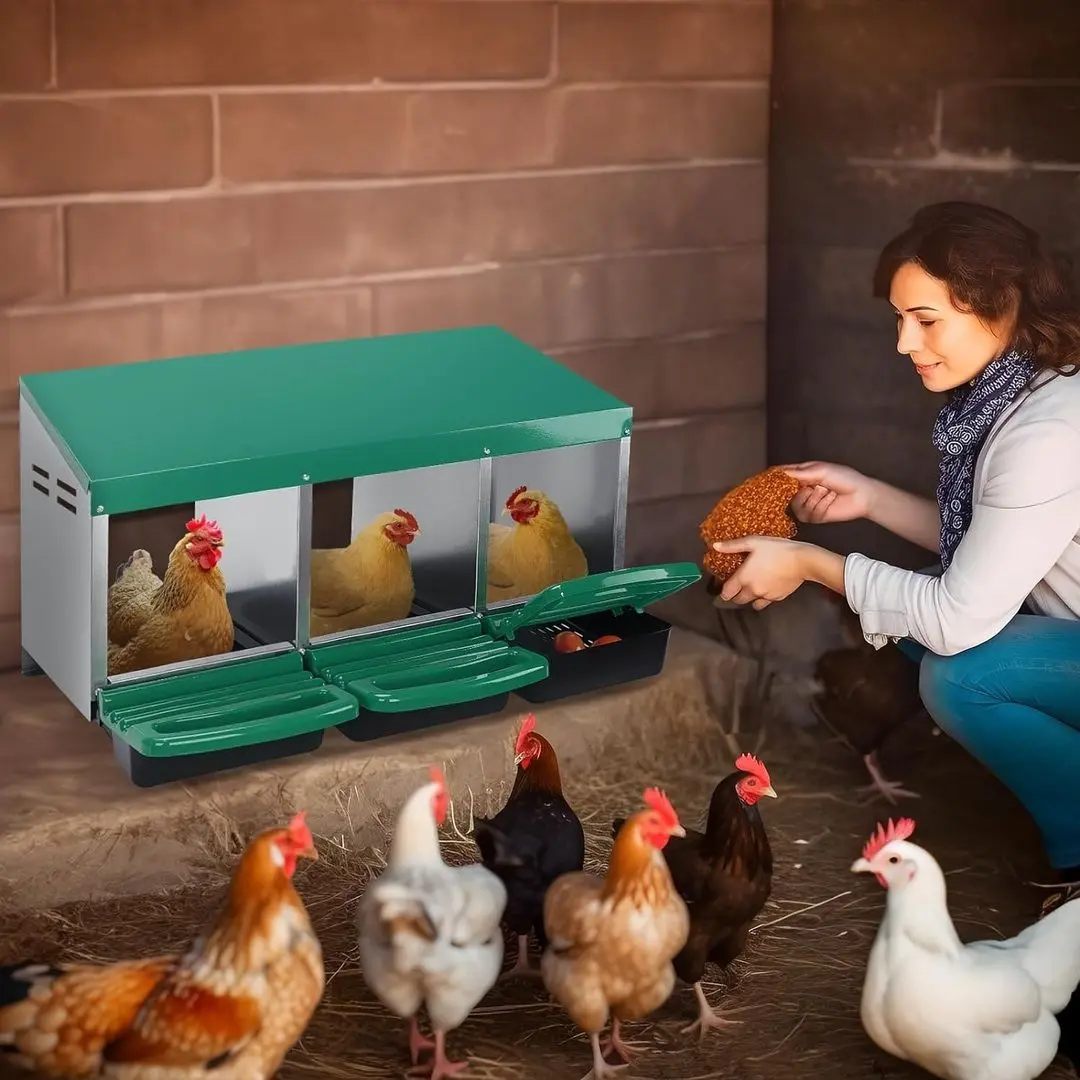 Гнездо с яйцесборником для кур Demetra DH-04 (Green) - 6