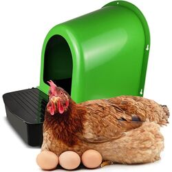 Cuibar pentru gaini cu colector de oua Demetra ECO Thumb
