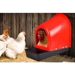 Cuibar pentru gaini cu colector de oua Demetra ECO Thumb