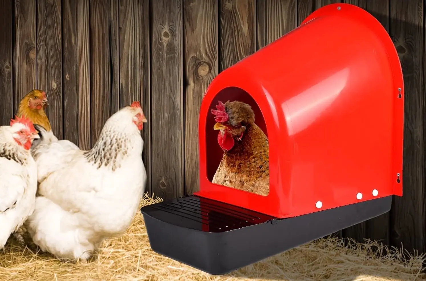 Cuibar pentru gaini cu colector de oua Demetra ECO