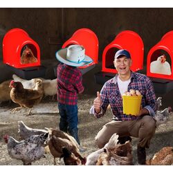 Cuibar pentru gaini cu colector de oua Demetra ECO Thumb